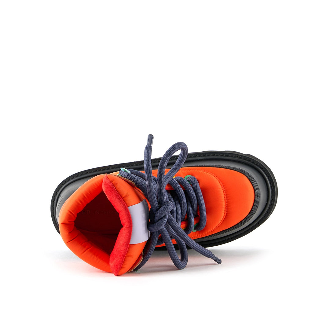 zembla peak electric rainbow 5 top view